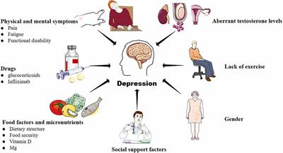 Research progress on rheumatoid arthritis-associated depression